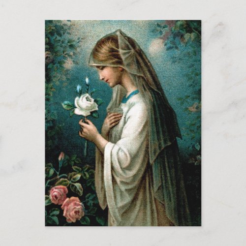 Postcard Mystical Rose Postcard