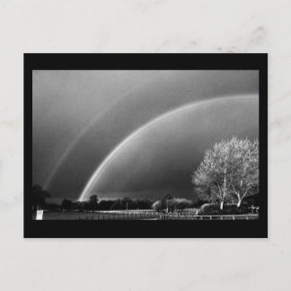 Postcard-Nature-Art of Rain-17 Postcard