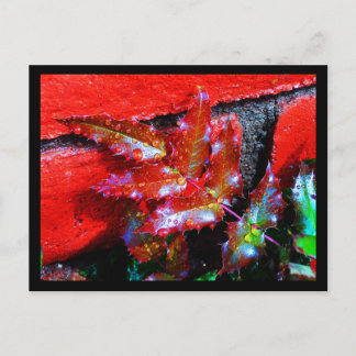 Postcard-Nature-Art of Rain 32 Postcard