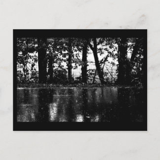 Postcard-Nature-Art of Rain 57 Postcard