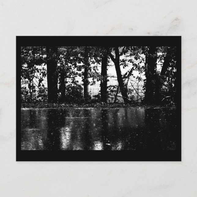 Postcard-Nature-Art of Rain 57 Postcard (Front)