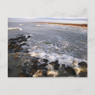 Postcard "Nature. Lithuania, Palanga"