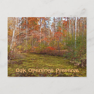 POSTCARD, OAK OPENINGS PRESERVE, TOLEDO METRO PARK POSTCARD
