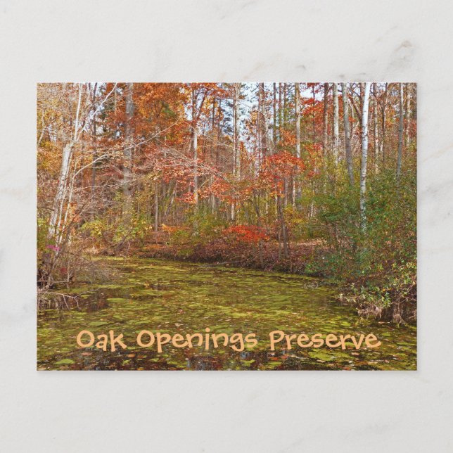 POSTCARD, OAK OPENINGS PRESERVE, TOLEDO METRO PARK POSTCARD (Front)