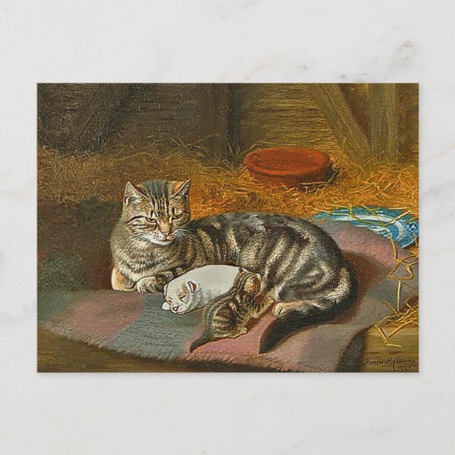 Postcard of Mama Cat & Pup: "The Unexpected Guest" (Front)