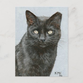 Postcard Of My Painting Of A Black Cat by KMCoriginals at Zazzle