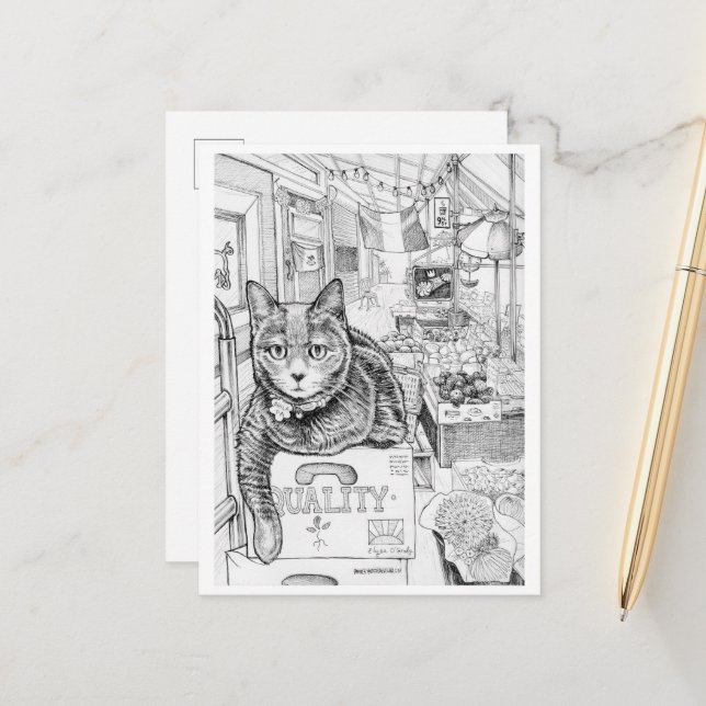 Postcard of Philly Cat on 9th Street (Front/Back In Situ)