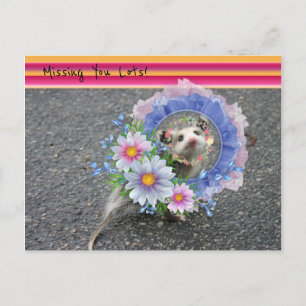 Postcard Opossum Floral Stripe Missing you lots!