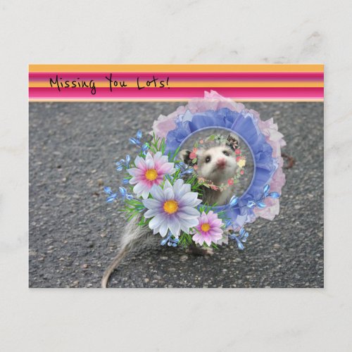 Postcard Opossum Floral Stripe Missing you lots