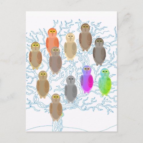 Postcard _ Owl Family Tree