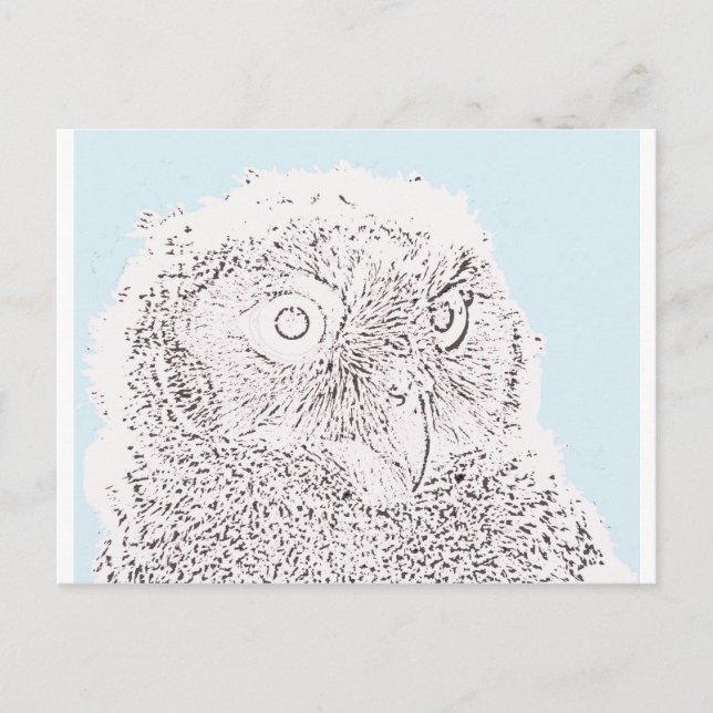 Postcard - Owlet to Color (Front)