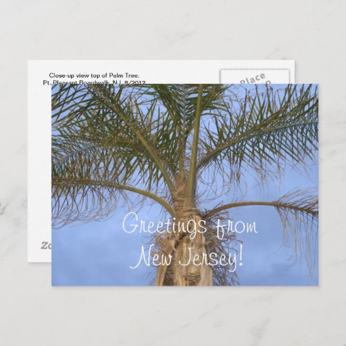 Postcard Palm Tree Greetings from NJ