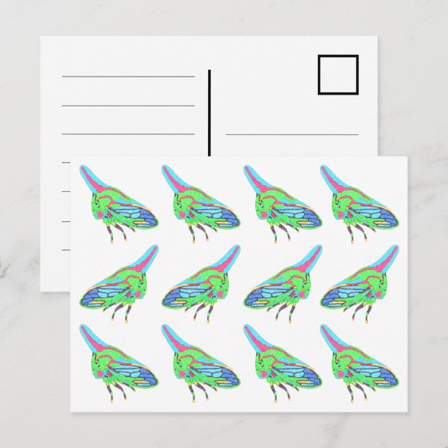 Postcard (pattern white) - Oak Treehopper (Front/Back)