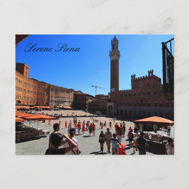 Postcard: Piazza del Campo, Siena, Italy Postcard (Front)