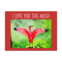 Postcard - Pink Flamingo - I love you this much!