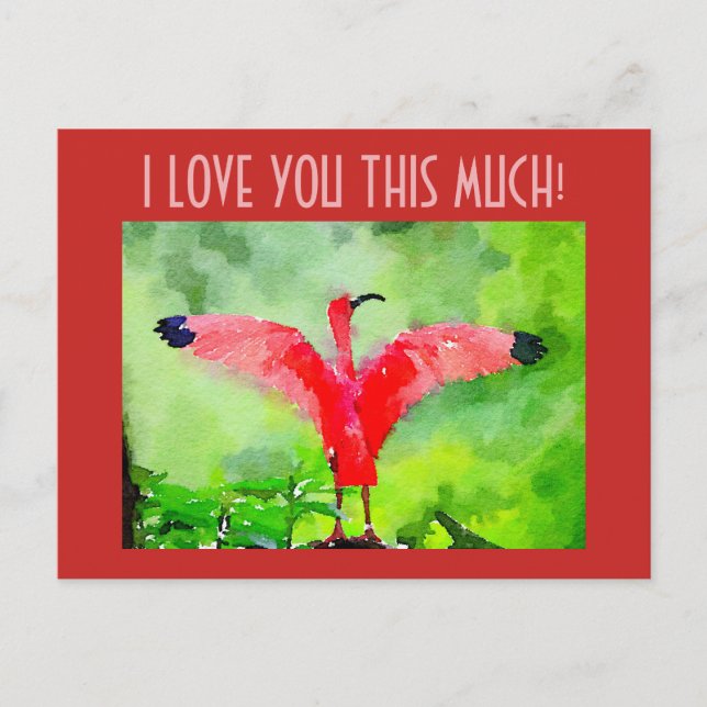 Postcard - Pink Flamingo - I love you this much! (Front)