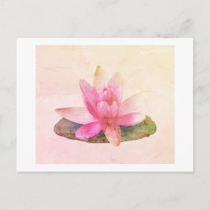 POSTCARD : PINK LOTUS