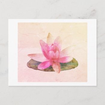 Postcard : Pink Lotus by TINYLOTUS at Zazzle