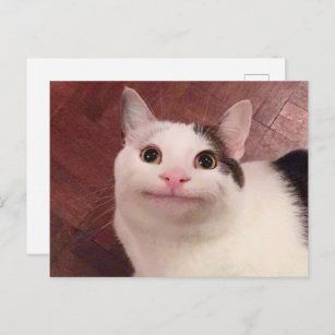 Postcard Polite Cat Meme