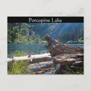 POSTCARD ~ "Porcupine Lake" near Clark Fork, Idaho