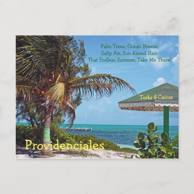postcard, PROVIDENCIALES/PALM TREE & UMBRELLA/TURK Postcard (Front)