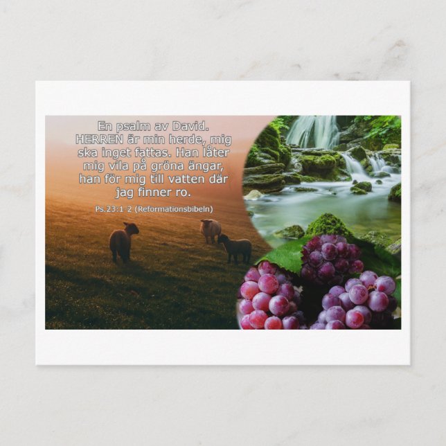 Postcard - Psalm 23: 1-2 (Front)