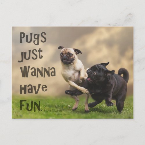 Postcard Pugs just wanna have fun