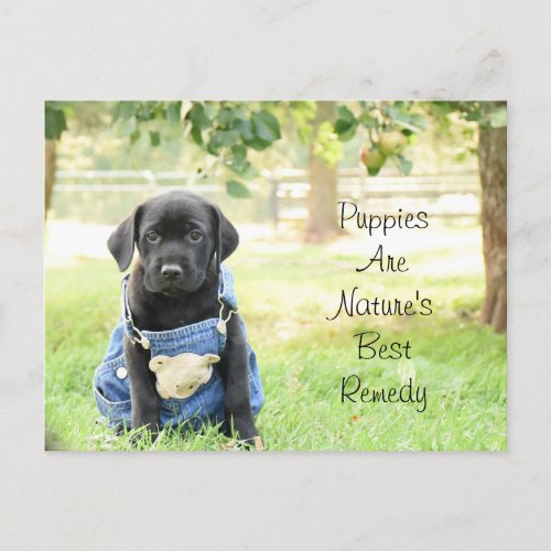 Postcard Puppies are Natures Best Remedy