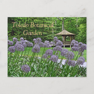 POSTCARD,"PURPLE ALLIUM & GAZEBO" TOLEDO BOTANICAL POSTCARD