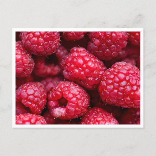Postcard _ Raspberries