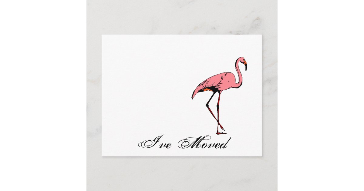 Postcard Retro I've Moved New Address Flamingo PC | Zazzle