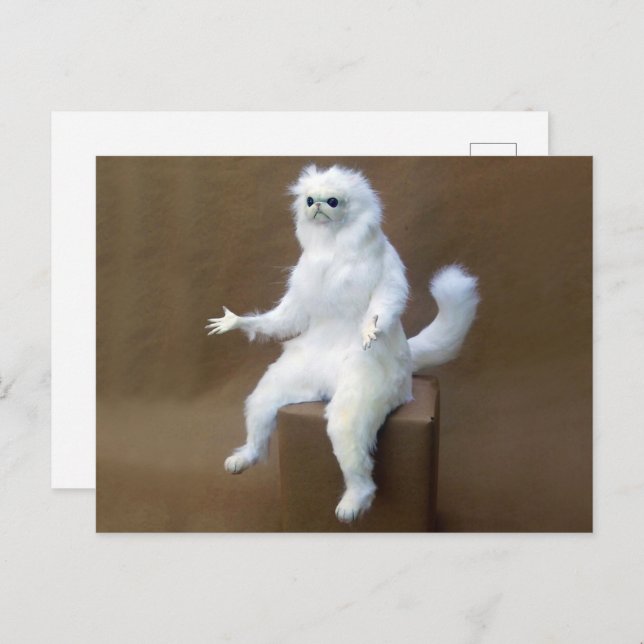 Postcard Room Guardian Meme (Front/Back)