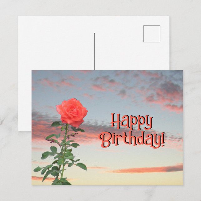 Postcard - Rose at Sunset (Front/Back)