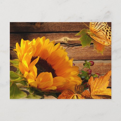 Postcard Rustic Country Fall Sunflower Butterfly Postcard