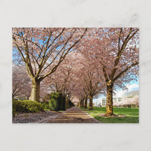 Postcard Salem Cherry Blossoms & Squirrel Oregon