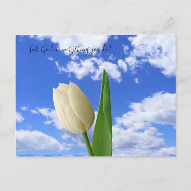 Postcard Seek God White Tulip Blue Sky (Front)