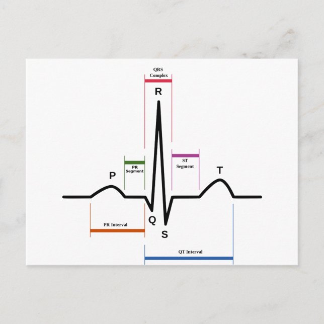 Postcard Sinus Rhythm Electrocardiogram ECG (Front)