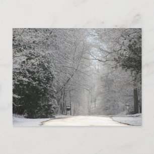Postcard, Snow scene hi def photography Postcard