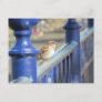 Postcard - Sparrow on Fence