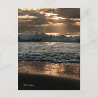 PostCard_splash Postcard