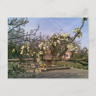 Postcard Spring