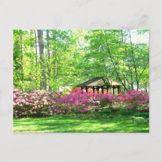 postcard, "Springtime At Toledo Botanical Garden" Postcard (Front)