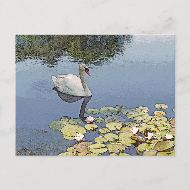 postcard, "SWAN GLIDING AMONG LILY PADS" Postcard (Front)