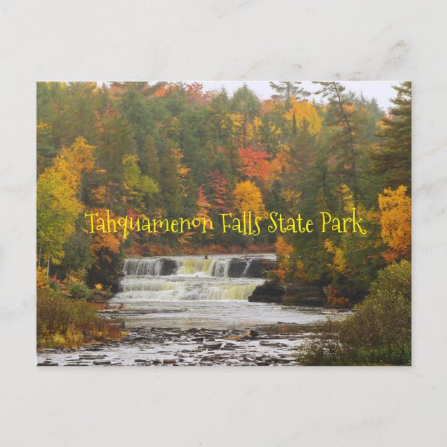 postcard, Tahquamenon Falls State Park, Michigan Postcard (Front)