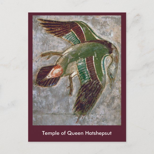 Postcard: Temple of Queen Hatshepsut Postcard (Front)