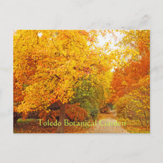 POSTCARD/TOLEDO BOTANICAL GARDEN/AUTUMN PATH POSTCARD