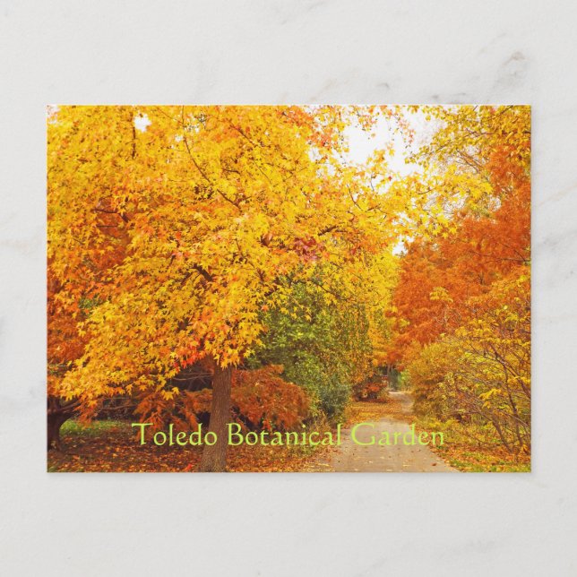 POSTCARD/TOLEDO BOTANICAL GARDEN/AUTUMN PATH POSTCARD (Front)