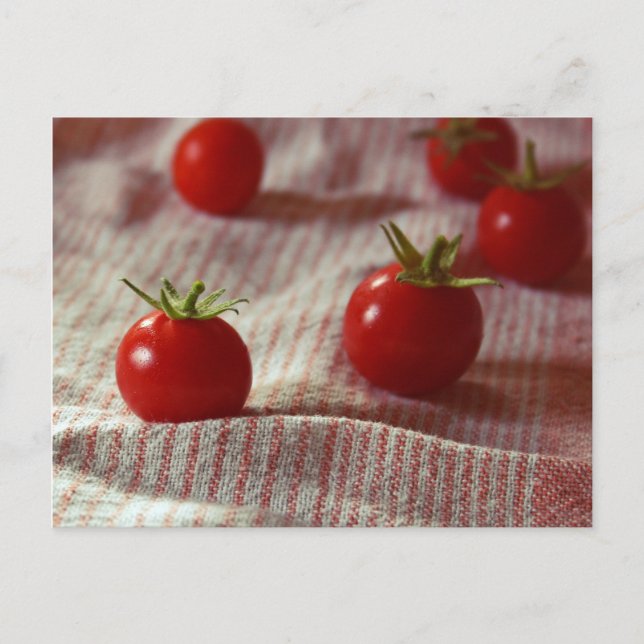 Postcard "Tomato Party" (Front)