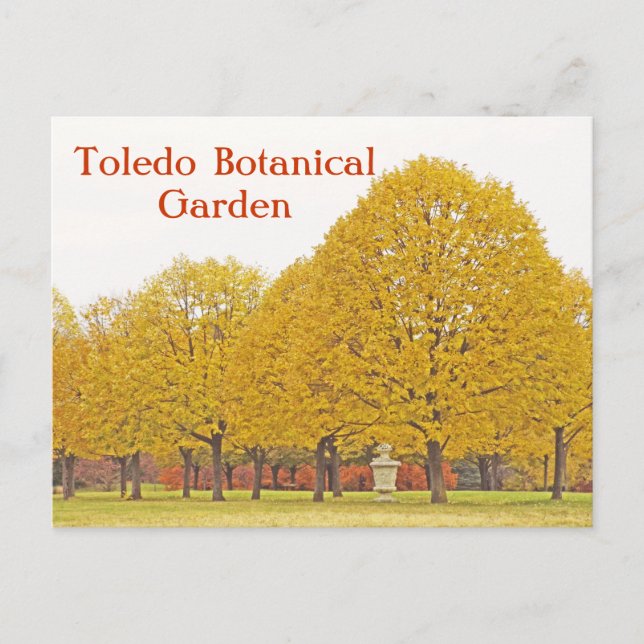 POSTCARD,"TREES OF GOLD" TOLEDO BOTANICAL GARDEN POSTCARD (Front)