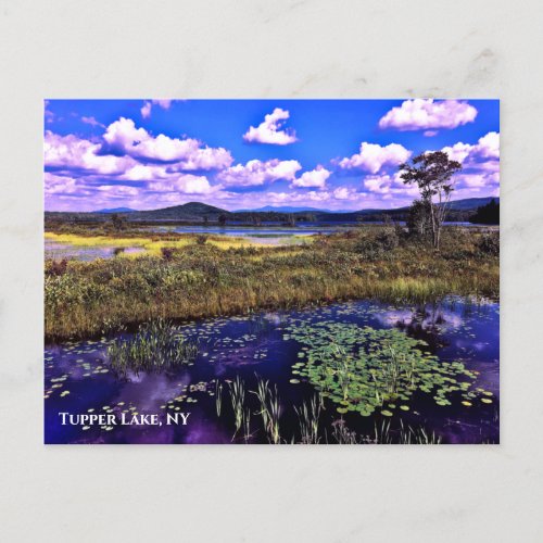 Postcard _ Tupper Lake NY